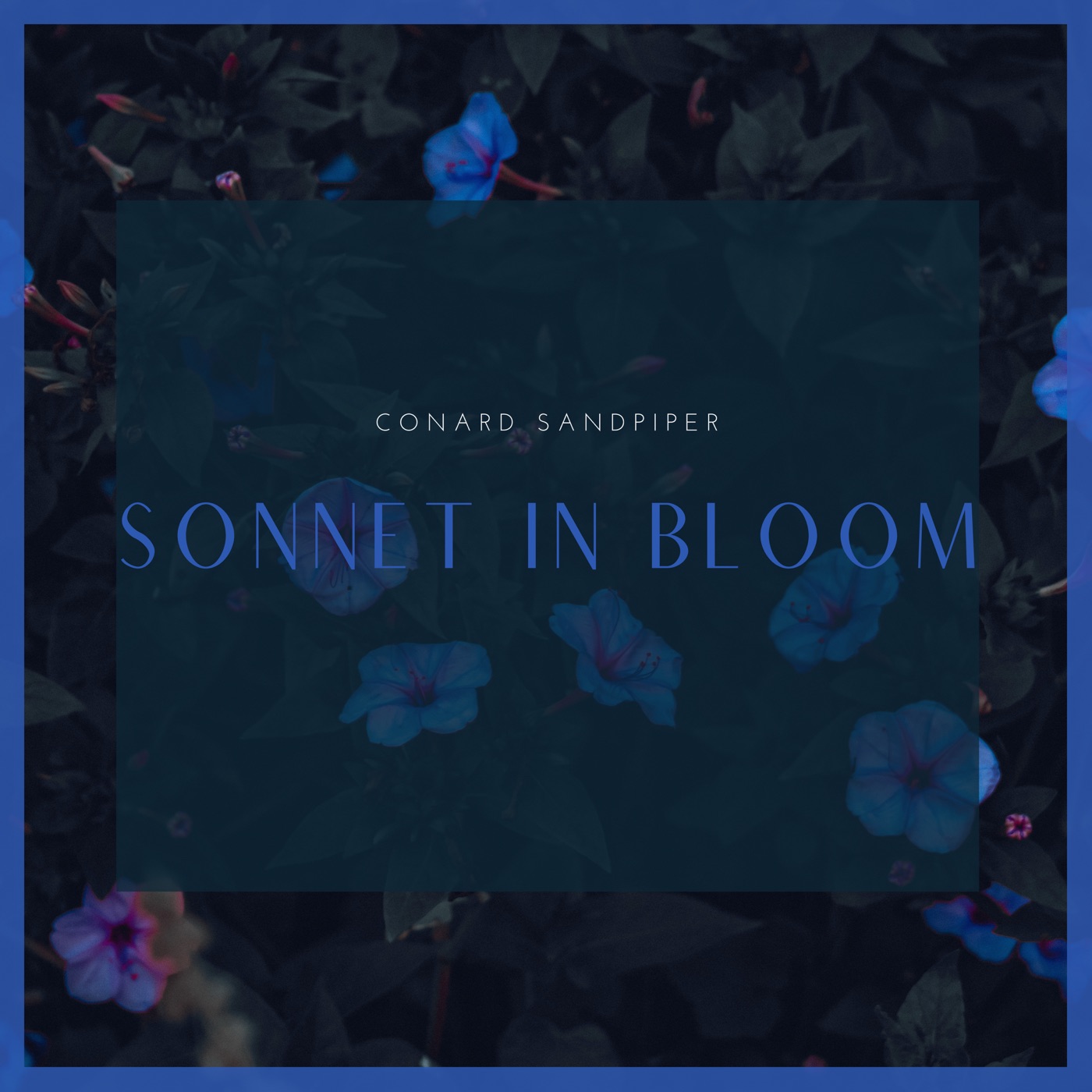 Sonnet in Bloom