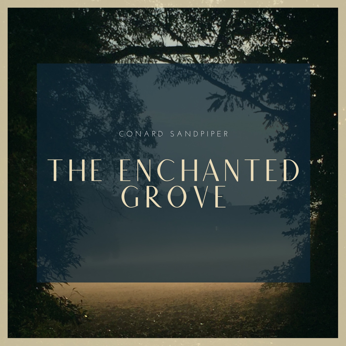 The Enchanted Grove